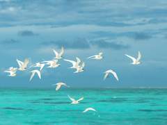 롤링페이퍼 #9 - 좋아하는 XX_