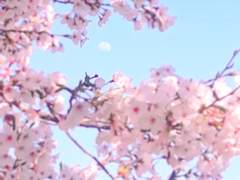 당신의 계절 : 이여봄