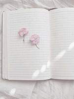 [뷔슈/뷔슙]이런 이야기