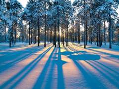 새롭고도 여전할 너에게.