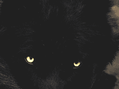 맷슘 - AWAITED [ 상 ]