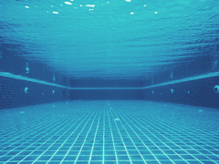 [스턴뉴얼] End,And.