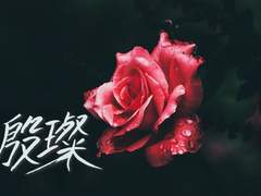 | 은 찬 : 프로필