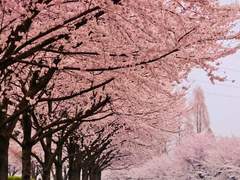 14살짜리 꼬마아이