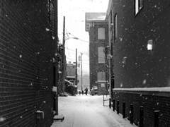 [야존위안] 이른 겨울