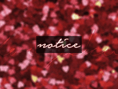 [코이사쿠] 공지사항