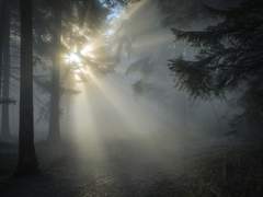 [린] After the dawn