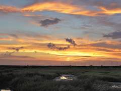 [호영은월] 나의 메시아 : 열 명의 청년들