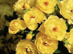 클립스튜디오 소재