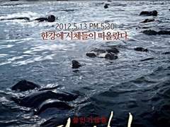 뎅 영화 필모 짤막한 후기 4