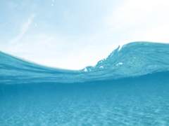 롤링페이퍼 #14 - 최애 캐릭터