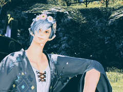 우리집 빛전 설정 백업