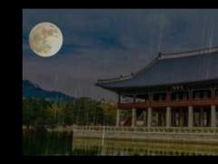 [뷔진국] 이화월백(梨花月白) #2