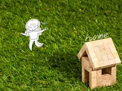 네가 울 수 있는 곳, 네가 올 수 있는 곳