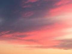 I'll ____ you all the way