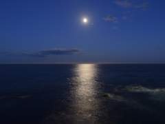 [셈딩]밤을 닮은 어린왕자