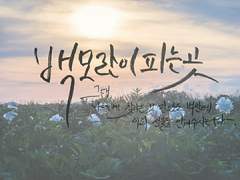 백모란이 피는 곳 - 눈이 녹아내린 곳에