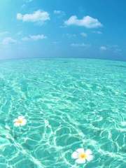 그저 짧게 끄적일뿐