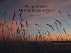 캘리그라피 커미션