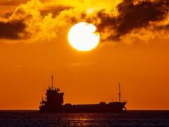 [봉숭흉] 노을에 잔존하는 그것을