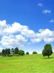 동물의 왕국 Season 2