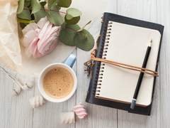 할리퀸 55일 답로그