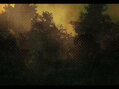 밤중에 품은 꿈은 하늘에 별이 되었고