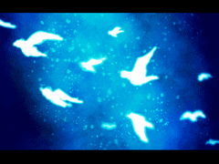 새는 신에게로 날아간다