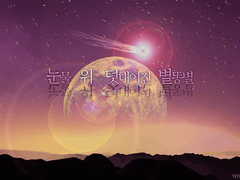 눈물 위 덧대어진 별똥별