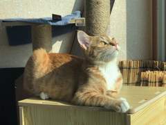 우리집 첫번째 악당