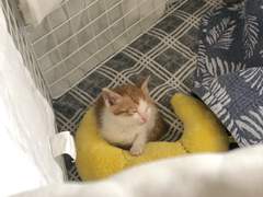 우리집 두번째 악당