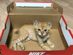 첫번째 악당을 위한 일기