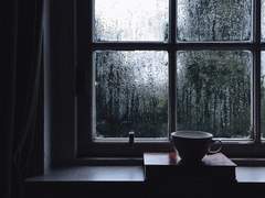 [트위스테] 감독생씨에게.