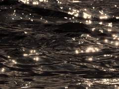 여름의 끝에서 축제를