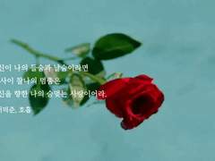 ...그냥 고맙다고 하면 받아줄 것이지.