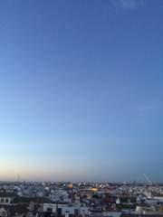 향기로운 불시착