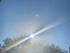 <7> 보통 날과 다른 날