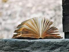 동화 합작 공개