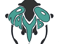 [ RAYBO || 레이보 ]