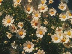 거침없이 꾸준한 플러팅