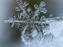 [엘빈] 결손缺損