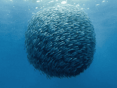 새로운 거버넌스의 여명을 이끄는 세 가지 디파이(DeFi) 혁신