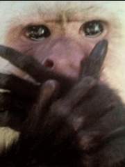 전바 덕토크 및 망상