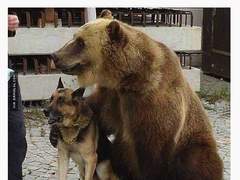 인난지엠 전오수 46~ 65