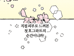 직접 피부로 느껴본