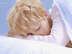 샤넬과 프라다 F