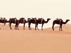 메유, 돌맞는 유다