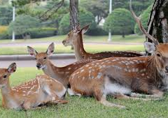 [친/후세대] 포터와 포터와 포터 2