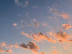 최고의 생일 선물