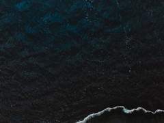 영원한 꿈에서.